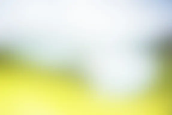 PocketWin Casino Assistance